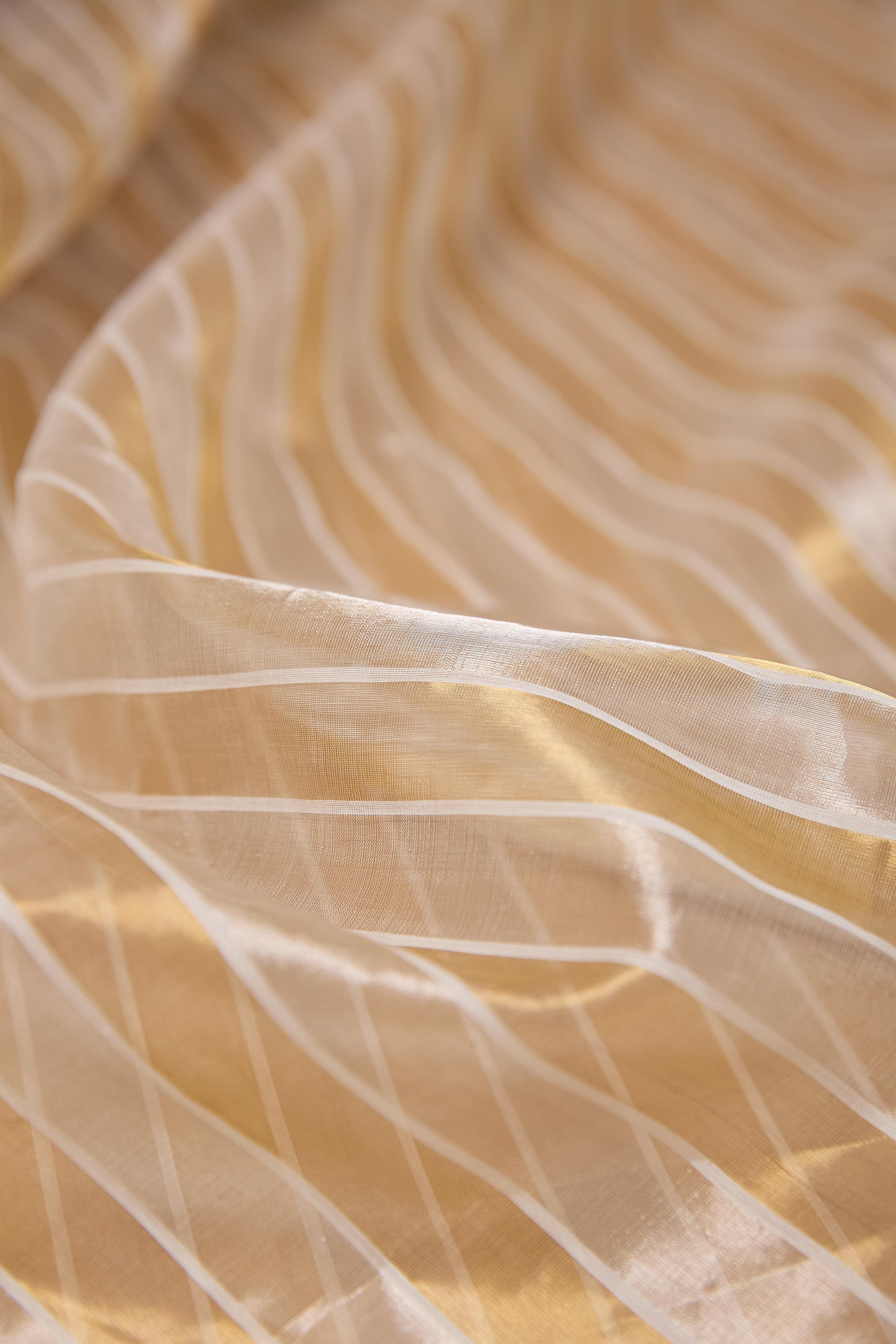 White Kora Tissue Saree