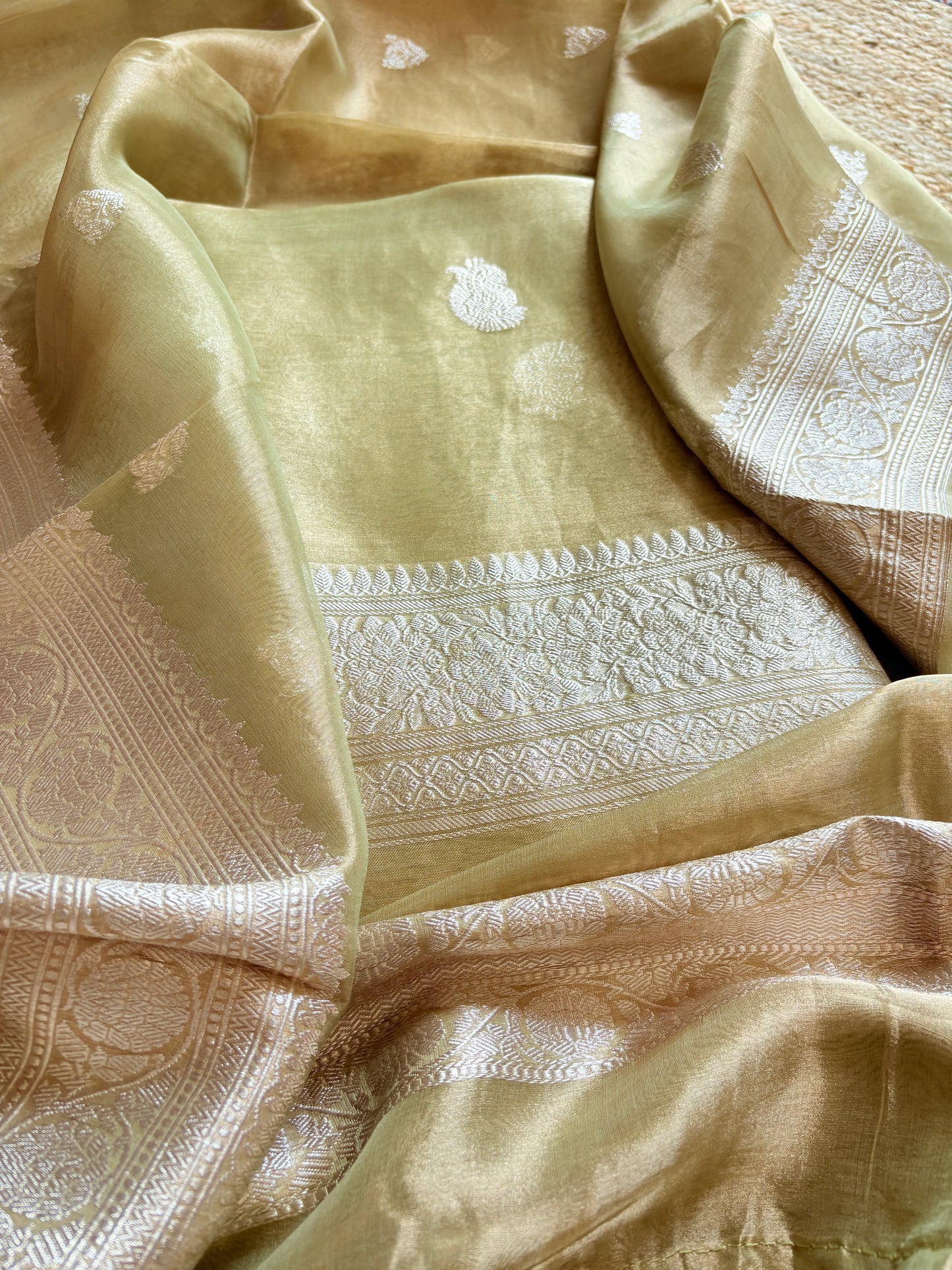 Green tissue kadhwa suit set