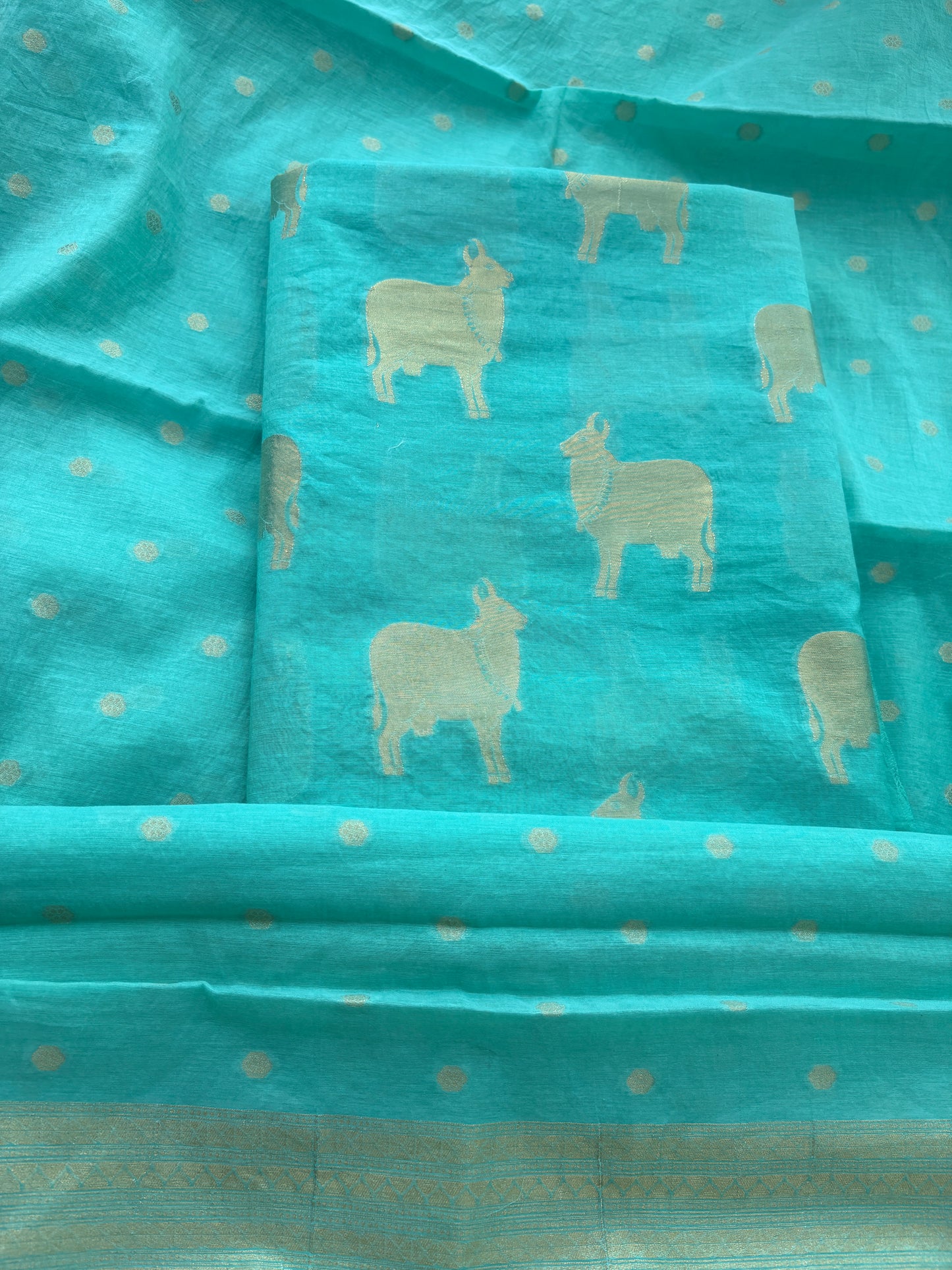 Turq figure design Chanderi designer suit set(87)
