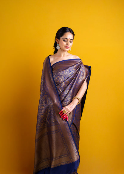 Blue full jaal weaving banarasi silk Saree